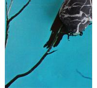 Tangents Stateless (CD) Album