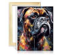 TANGFEIY Dipingere con i numeri, boxer, pittura su tela, pittura a olio fai da te con pennelli e pigmenti acrilici su tela, Quadro artistico per decorazione domestica, cornice fai da te (40 x 50 cm)