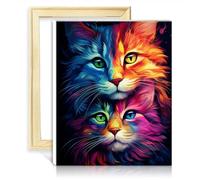 TANGFEIY Kit di pennelli per dipingere con i numeri, gatto tigrato su tela, per adulti, con pennelli e pigmento acrilico su tela, stile dipinto per la decorazione della casa, senza cornice (40 x 50