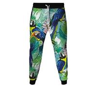 TangoDS Pappagallo/Aquila/Fenice/Pavone/Gufo 3D Stampa Donne Uomini Jogger Pantaloni della Tuta Casual Largo Tasca Cordino di Serrazione Pantaloni Abbigliamento Stradale