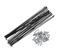 TANGSIYANG Raggi Bicicletta Lunghezza dei Raggi in Acciaio for Bicicletta da 36 Pezzi con for la Maggior Parte delle Bici(40Pcs 249mm)
