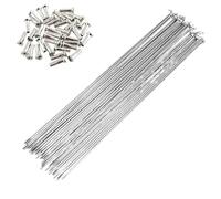 TANGSIYANG Raggi Bicicletta Raggi for Bicicletta 40PCS 235-269mm 14G 2.0mm Diametro in Acciaio Inossidabile con(247mm)