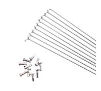 TANGSIYANG Raggi Bicicletta Raggi for Bicicletta da 10 Pezzi con Raggi for in Acciaio Inossidabile(286MM)