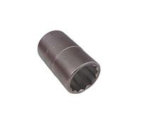 TANIASHOP Chiave a Bussola poligonale con attacco quadro femmina 3/4" Pollici bussole bussolotto Boccola Acciaio al Cromo Vanadio (24mm)