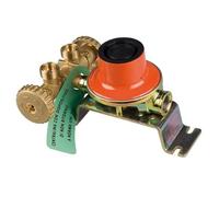 TANIASHOP Mini Centralina GPL 2 Bombole 4Kg/h Regolatore Gas Bassa Pressione 30 mbar con Valvole Sicurezza