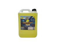 TANICA LAVAVETRI PER VASCHETTE 5LT PROF. LIMONE PRONTO USO -10° TERGICRISTALLI