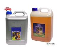 Tanica Olio Miscela Motore 2 Tempi Minerale 5 LITRI + Tanica Olio Catena