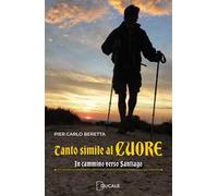 Tanto simile al cuore. In cammino verso Santiago