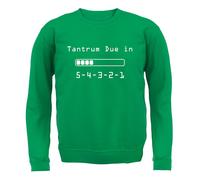 Tantrum Due IN 5 4 3 2 1 - Adulti Felpa/Maglione - Bambino Funny Scream Genitori