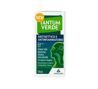 TANTUM VERDE ANTISETTICO E ANTINFIAMMATORIO spray mucosa orale 1 flacone 15 ml