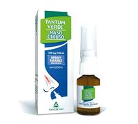 TANTUM VERDE NASO CHIUSO 1 mg/ml spray nasale, soluzione 15 ml Spray n