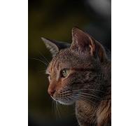 Tanuki Hana Neko - Puzzle in legno da 2000 pezzi, regalo per amicizia, svago, intrattenimento, decorazione per feste, 14 anni+