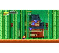Tanuki Justice Edizione Standard per PS 4 - Gioco d'Azione su Blu-ray - GIOCO PS4