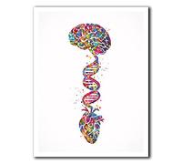 Tanyang Cervello Cuore Dna Acquerello Stampa Scienza Arte Murale Arte Medica Anatomia Clinica Decoro Cuore E Cervello Ufficio Decorazione Parete 50X70Cm Senza Telaio