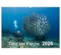 Tanz der Fische (Wandkalender 2026 DIN A2 quer), CALVENDO Monatskalender: Fischbälle - eine großartige Begegnung mit den verschiedensten Formen!