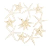 TaoQ C 12 Pezzo Stella di Mare 5-15cm Miscelata Stella di Mare Naturale Stella di Mare Conchiglie Decorazioni perfette per Wedding Decor Beach Tema Party, Decorazioni per la casa, DIY Crafts