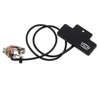 TAP 3 Action Active Bouzouki PU