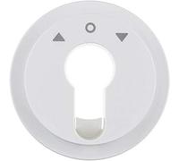 Tapa para interruptor llave persianas, con símbolo, R.x, blanco polar