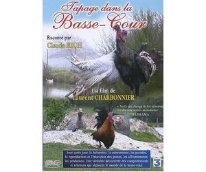 Tapage dans basse cour - dvd animaux de la ferme