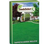 Tapeto Verde Inglese, Seme di Prato, Scatola da 1 kg