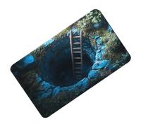 Tapiis Illusion d'Optique 3D - Velours 40 x 60 cm 50 x 80 cm | Tapiss piège Illusion avec tapis sol antidérapant et absorbant, tapisy jeu pour animaux de compagnie | Entrée, Cuisine, Salle de bai