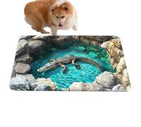 Tapiis Illusion d'Optique 3D - Velours 40 x 60 cm 50 x 80 cm | Tapiss piège Illusion avec tapis sol antidérapant et absorbant, tapisy jeu pour animaux de compagnie | Entrée, Cuisine, Salle de bai