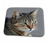 Tapis D'Entrée Stunning Tabby Cat Close Up Portrait Vector On Grey Background Vector Art Tabby Cat Lavabile In Lavatrice Tappeto Porta Resistente Sporco Zerbino D'Ingresso Per Ingresso