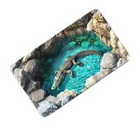 Tapis Illusion d'Optique 3D - Velours 40x60cm 50x80cm | Tapiis piège Illusion avec tapiss sol antidérapant et absorbant, tapisy jeu pour animaux de compagnie | Entrée, Cucina, Sala de bai