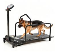 Tapis Roulant Cani Taglia Media,200w Tapis Roulant Interno Cani Tutte Dimensioni,Area Corsa 28 X 80 Cm,per Animale Domestico Prevenendo Problemi Come Obesità,Scarsa Resistenza