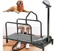 Tapis roulant da interno per cani di tutte le dimensioni con schermo di visualizzazione, supporta fino a 79,8 kg, perfetto per esercizi a casa e gestione del peso