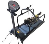 Tapis roulant per animali domestici con schermo di visualizzazione, supporta fino a 30 kg, ideale per cani di piccola taglia sotto i 50 cm di lunghezza