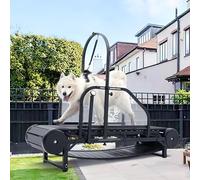 Tapis roulant per cani di taglia grande e media, rampa regolabile con pedometro, per esercizio fisico e vita sana e in forma, usato in casa fino a 136 kg