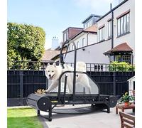 Tapis roulant per cani di taglia grande e media, rampa regolabile con pedometro, per esercizio fisico e vita sana e in forma, usato in casa fino a 136 kg