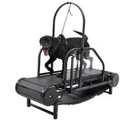 Tapis roulant per cani, rampa regolabile, silenzioso, con pedometro e binario di sicurezza, ideale per la vita in appartamento