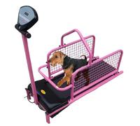 Tapis roulant per cani, tapis roulant per cani di piccola e media taglia, tapis roulant per cani, attrezzatura per l'allenamento di cani per interni ed esterni, fino a 80 kg, facile da montare