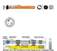 Tapparella Automatica Kit Motore 230 V Traina 60 Kg 30 Nm Centrale Radiocomando