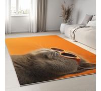 Tappeti 80 x 150 cm Tappeti da Area in Lavatrice per Soggiorno Animali Gatti Occhiali Da Sole Ritratti, Tappeto Pelo Corto Fotografia Fantasy per Camera da Letto Sala da Pranzo Tappeto Antiscivolo