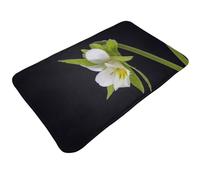 Tappeti da bagno antiscivolo lavabili - Tappetini da cucina per pavimenti, tappeti per ingresso interni, campo viola del pensiero lavanderia tappeto porta del bagno con retro in gomma 50,8 x 80 cm