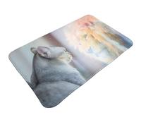 Tappeti da bagno antiscivolo lavabili, tappetini da cucina per pavimento, tappeti per ingresso interni, il gatto si guarda allo specchio, lavanderia, bagno, porta tappeto con retro in gomma, 50,8 x 80