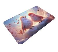 Tappeti da bagno antiscivolo lavabili - Tappetini da cucina per pavimento, tappeti per ingresso interni, cuori cielo uccello coppia lavanderia bagno porta tappeto con retro in gomma 50,8 x 80 cm
