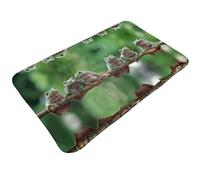 Tappeti da bagno antiscivolo lavabili, tappetini da cucina per pavimento, tappeti per ingresso interni, rana bianca australiana seduta su un ramo lavanderia tappeto porta del bagno con retro in gomma