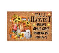 Tappeti per soggiorno autunno Ringraziamento decorativo zerbino fattoria Happy Fall Yall zerbino autunno plaid zerbino antiscivolo per interni tappeto basso profilo ingresso per vacanze autunnali (D