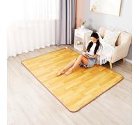 Tappeti riscaldanti elettrici al grafene, tappetini riscaldati, riscaldatori elettrici per pavimenti riscaldati rapidi, tappeti riscaldanti elettrici, scaldapiedi(A,100x200cm)