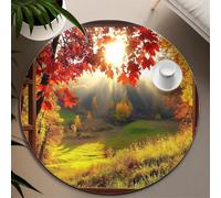 Tappeti rotondi per interni Sole autunnale Vista sul campo della foresta Tappetino sottile per spazio rilassante Soggiorno Sala conferenze Divano Camera da letto Patio 120cm