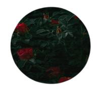 Tappeti rotondi pieghevoli per piante tropicali 180cm - Rose rosse Tappeti circolari a pelo basso per camera da letto morbida floreale per cucina rustica sotto il tavolo