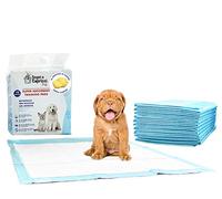 Tappetini Igienici Assorbenti per Cani e Gatti 60x60 cm - 5 Strati Super Assorbenti, Antiodore e Antifuga Liquidi con Adesivi - Traversine Educazione Addestramento Cuccioli (Limone, 10 Pezzi)