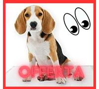 Tappetini Igienici Cane 60X90 Traverse Cani Puppy Pads Cani e Gatti 100 Pezzi