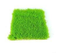 Tappetini in plastica per fai da te, accessori per giardino fatato, pavimenti per case delle bambole e progetti di progettazione del paesaggio, impermeabili e (verde)