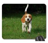 Tappetini Mouse, Dog Puppy Beagle Doggy Animal Breed Bigel Tappetini per Il Mouse da Gioco Bordi Cuciti Mouse Pad Antipolvere Tappetino per Mouse per Ufficio Gaming 25X30Cm