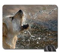 Tappetini Mouse, Dogs Yellow Labrador Retriever Animal Golden Gaming Tappetino Mouse Pratica Gaming Pad Antiscivolo Tappetini per Il Mouse per Ufficio Notebook 25X30Cm